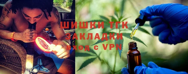 PSILOCYBIN Богородицк